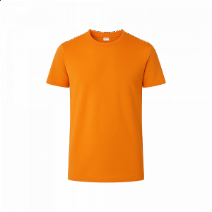 04.09.HEAT T-SHIRT 150gr MOLOSSOS
